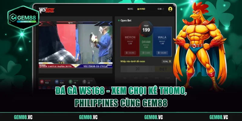 Đá gà WS168