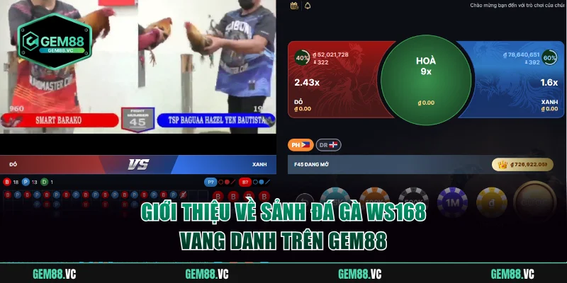 Giới thiệu về sảnh đá gà WS168 vang danh trên GEM88
