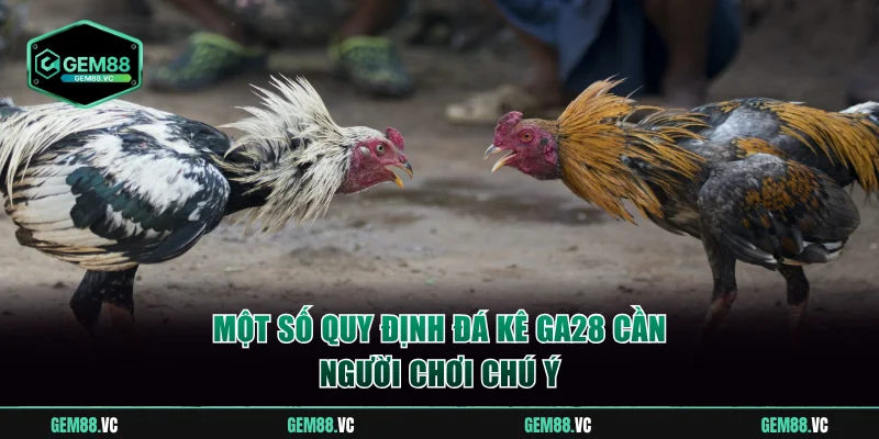 Một số quy định đá kê GA28 cần chú ý