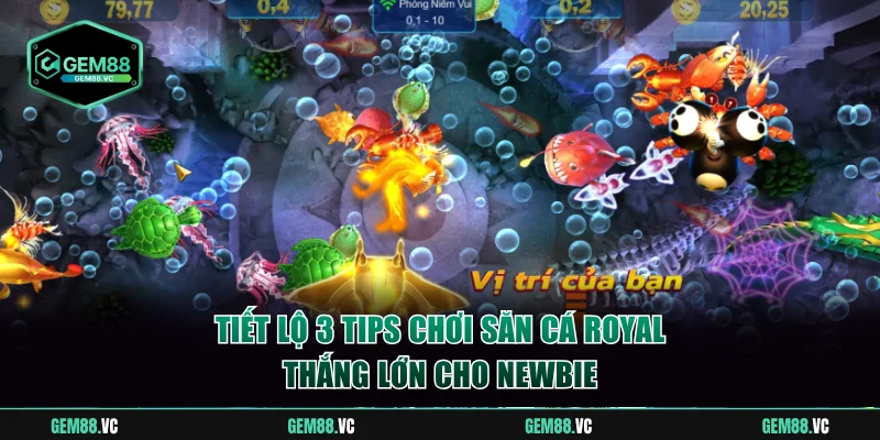 Tiết lộ 3 tips chơi săn cá Royal thắng lớn